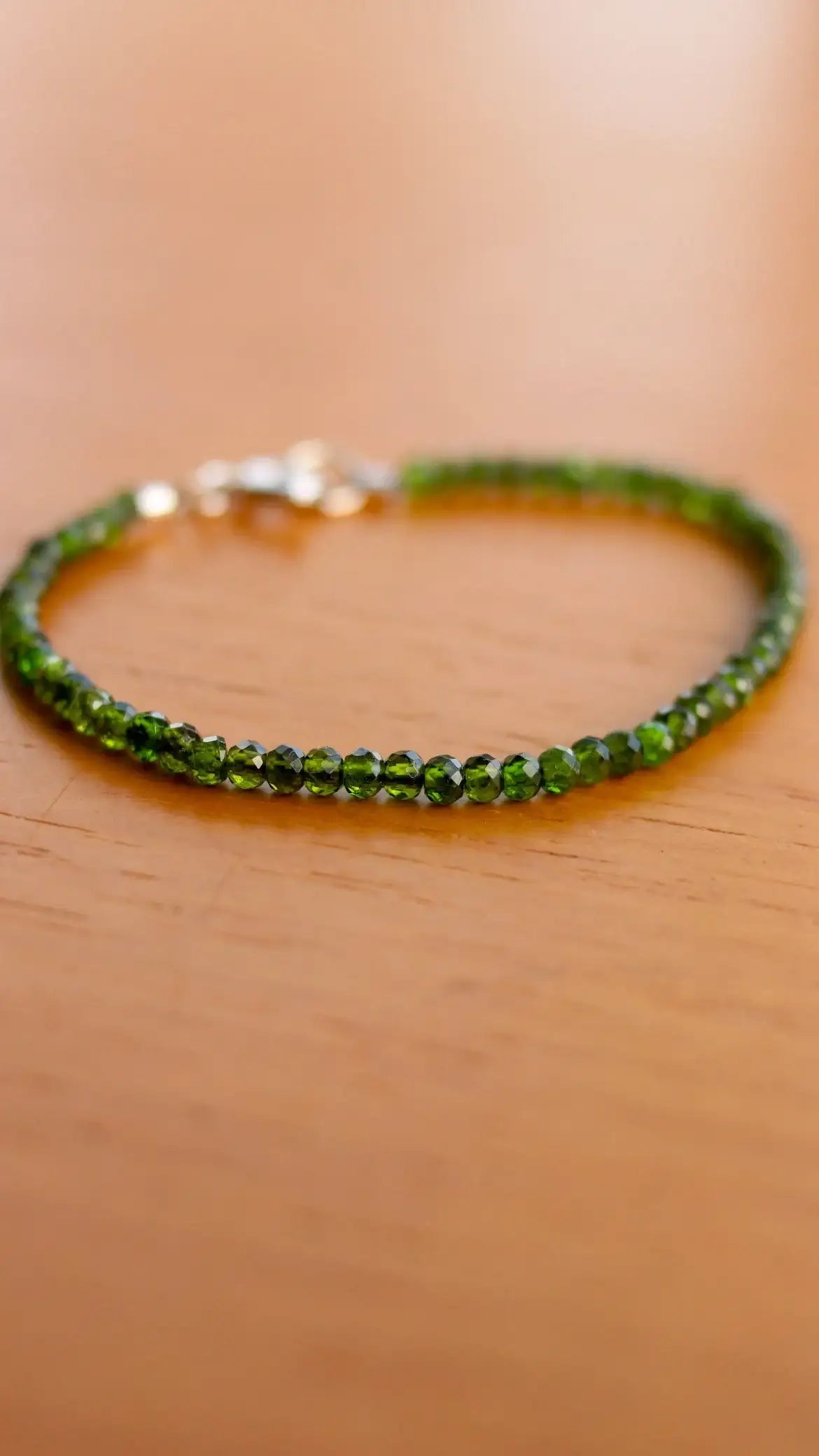 Pulseira em Diopsita | linha Prata