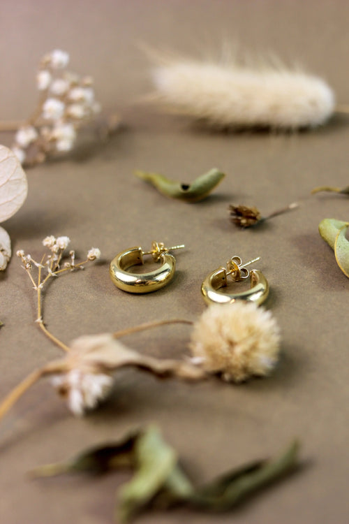 Argola Abaloada | Ouro 18k